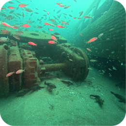 Artificial Reefs & Marine Habitat 