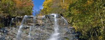 Amicalola Falls State Park & Lodge