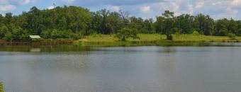 Arrowhead Lake