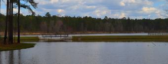 Lake at Hugh M. Gillis