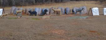 Ocmulgee Archery 3D Animals