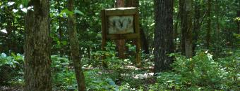 Rich Mountain Target in Woods