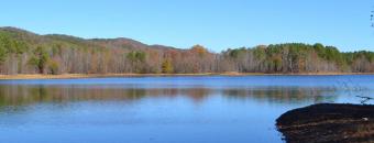 Lake in Winter