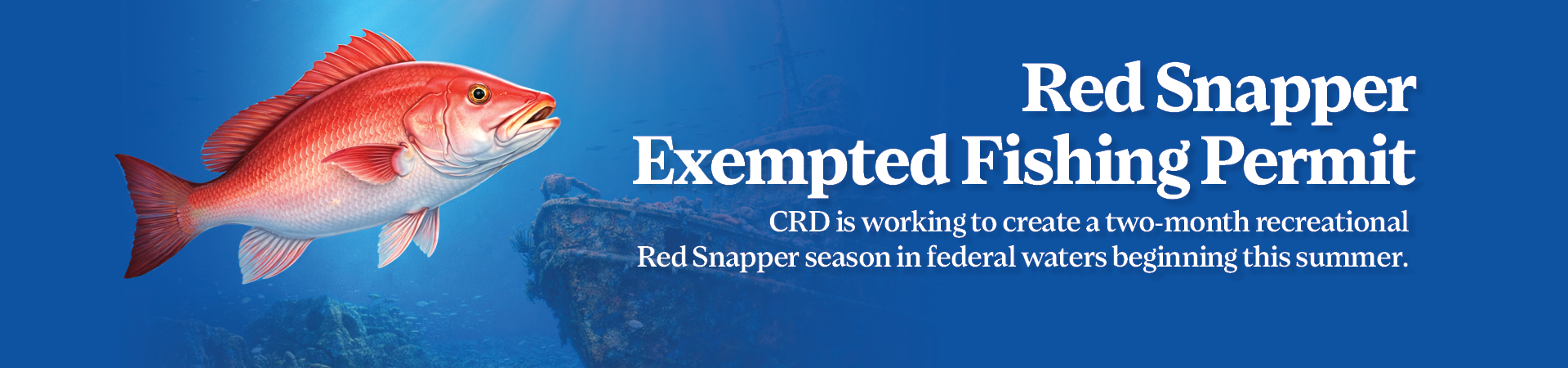 Red Snapper Exempted Fishing Permit: CRD is working to create a two-month recreational Red Snapper season.