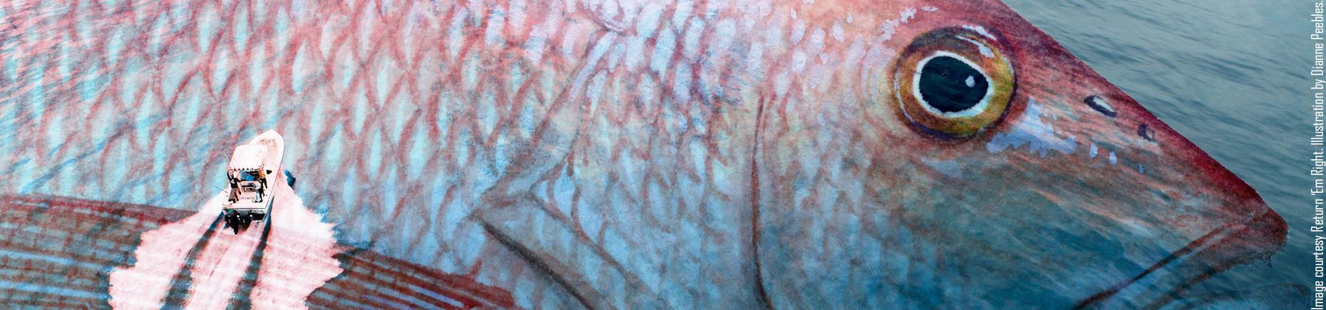 Georgia Red Snapper Project