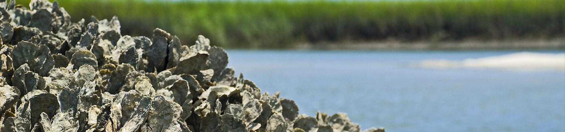 Coastal Incentive Grants