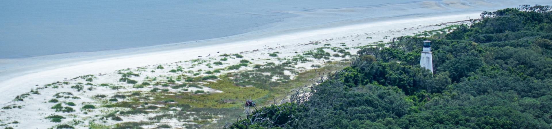 Discover Coastal Georgia