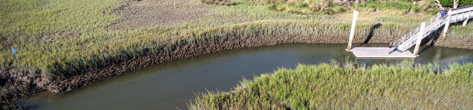 Living Shorelines