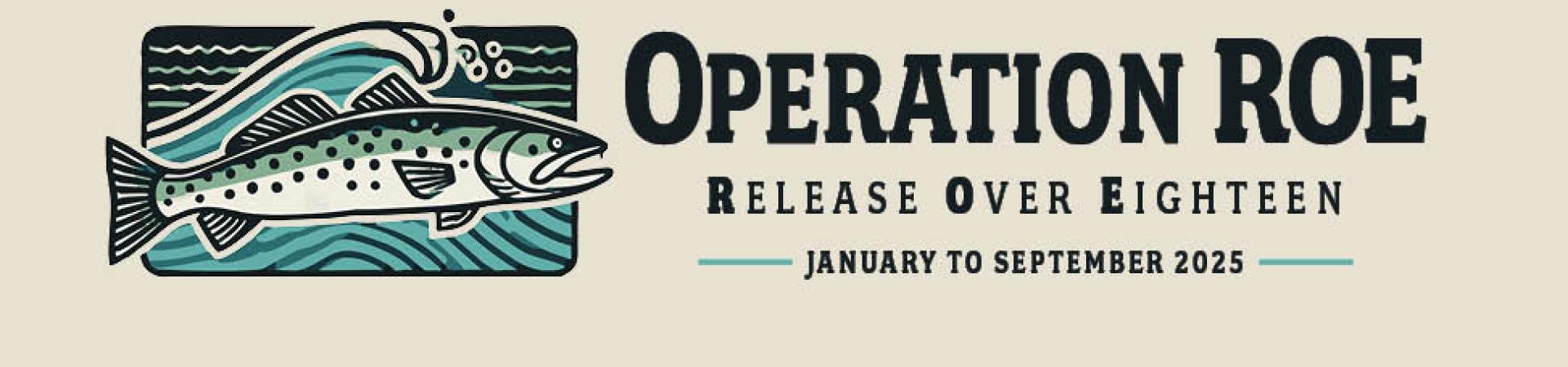 Operation ROE: Return Over Eighteen