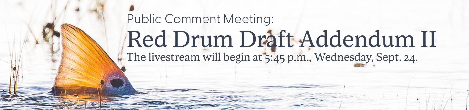 Red Drum Meeting