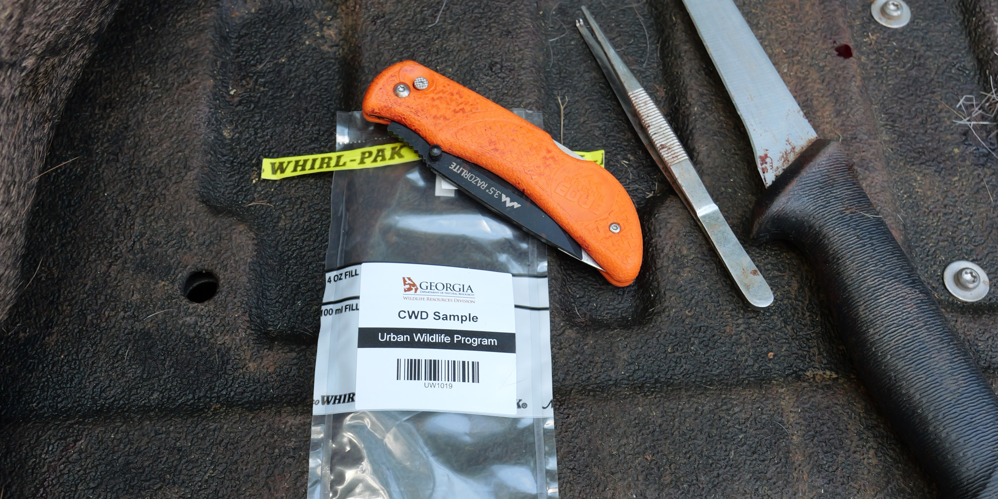 CWD sample kit with a labeled plastic bag and a knife.