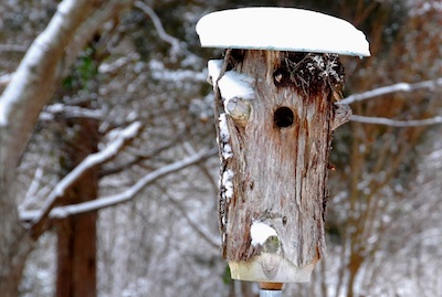 Log Nesting Structure