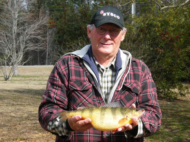 Thomas Lewis' GA State Record Yellow Perch