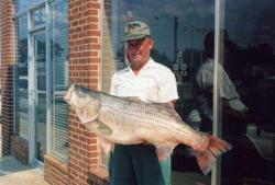 Kelly A. Ward's Georgia State Record Striped Bass