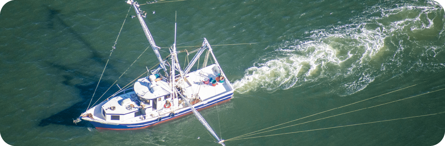 Commercial Fishing Licenses & Regulations Commercial Fishing Licenses & Regulations