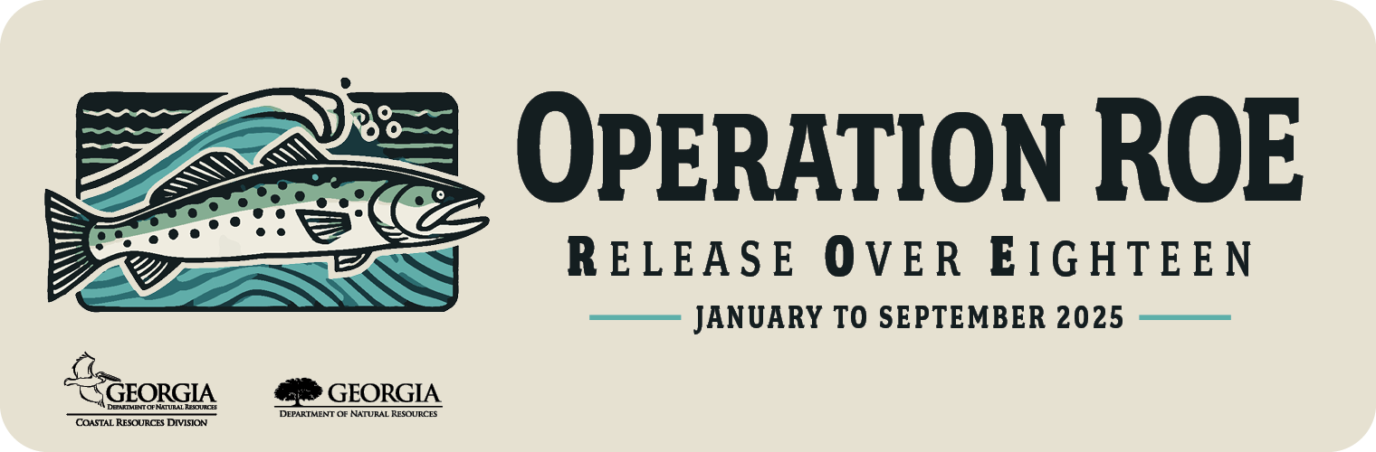 Operation ROE: Release Over Eighteen Operation ROE: Release Over Eighteen